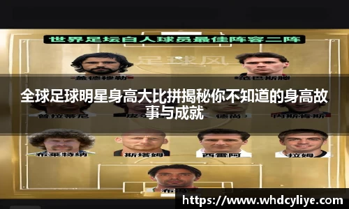 天博tb·体育官方网站