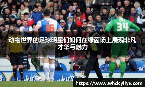 天博tb·体育官方网站