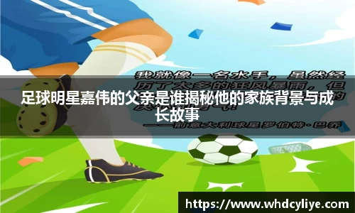 天博·综合体育官网入口