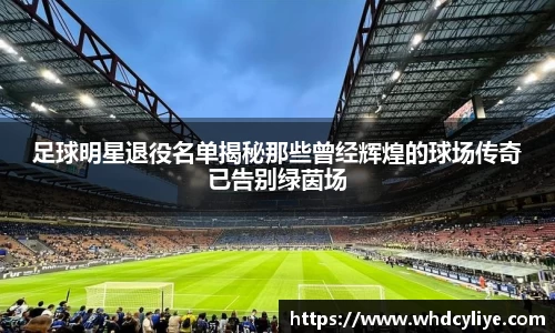 足球明星退役名单揭秘那些曾经辉煌的球场传奇已告别绿茵场